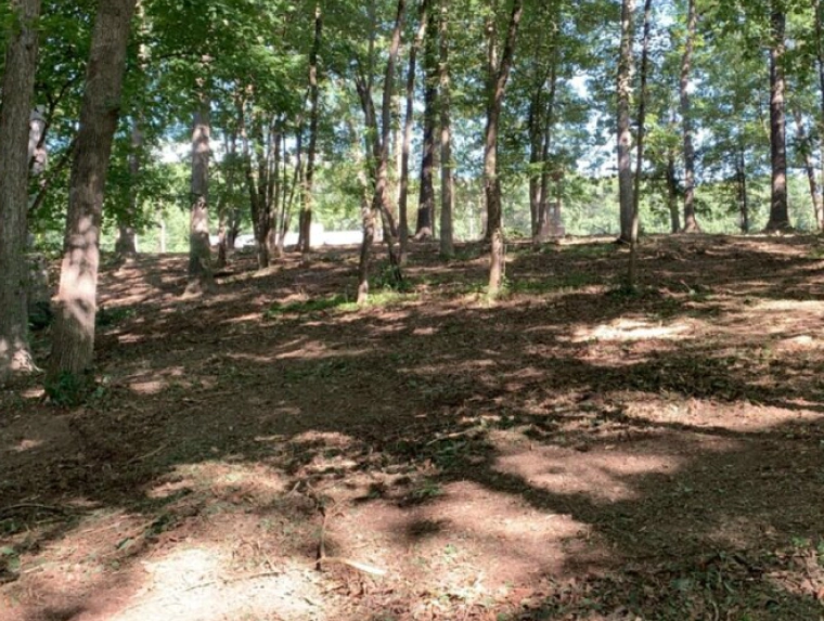 Site Preparation (1)