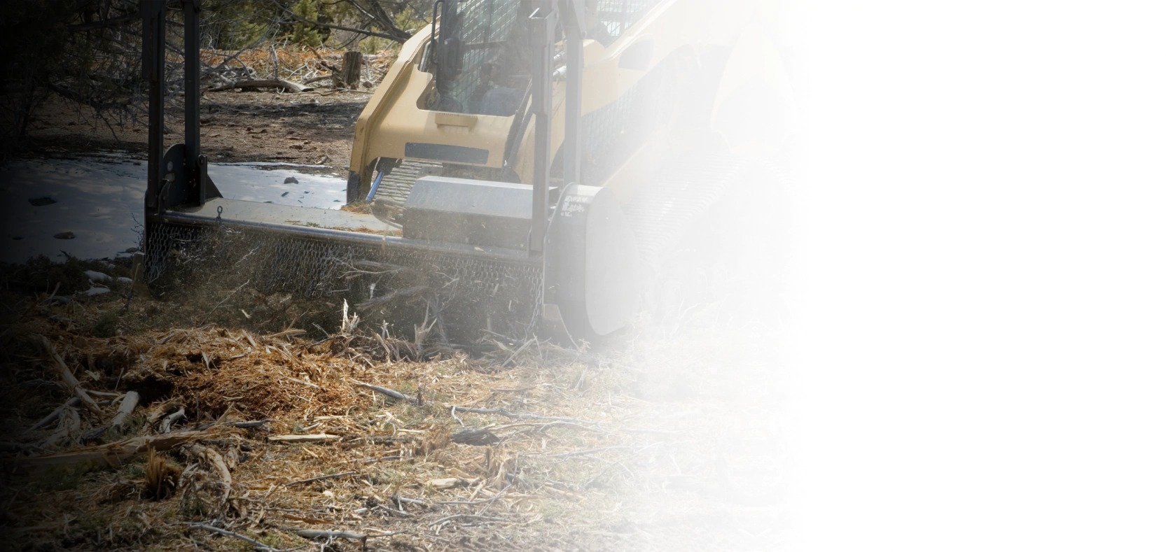 land clearing services (3)