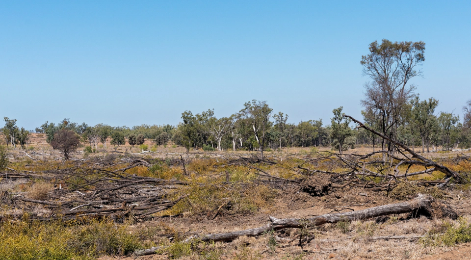 land clearing services